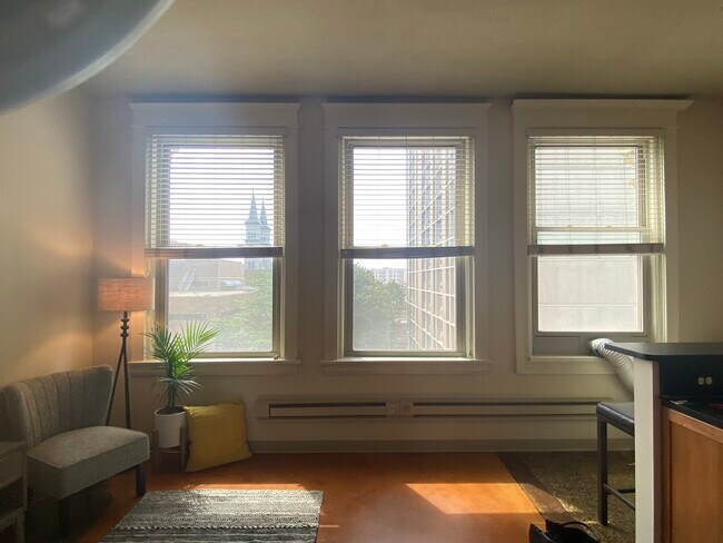 Beautiful View through Large West Facing Windows view - 488 Wabasha St N