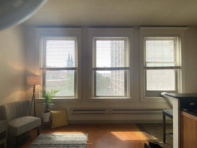 Beautiful View through Large West Facing Windows view - 488 Wabasha St N