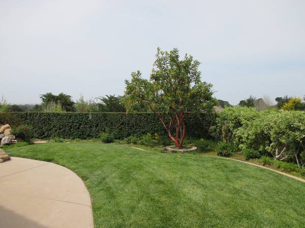 Foto del edificio - 816 Noddy Ct