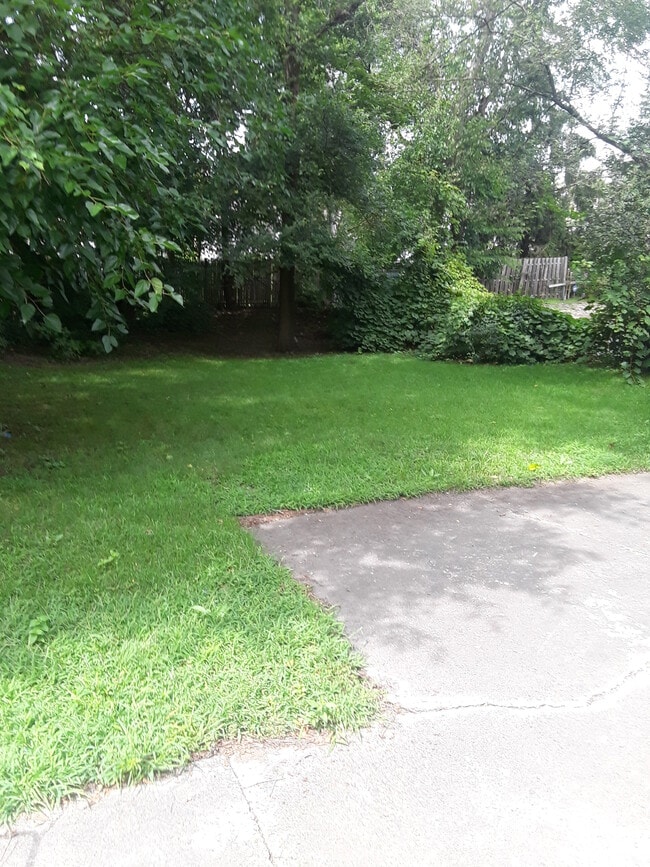 Yard - 1057 Washington Ave