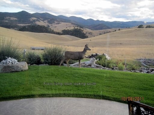 Building Photo - 5405 Elk Ridge Rd