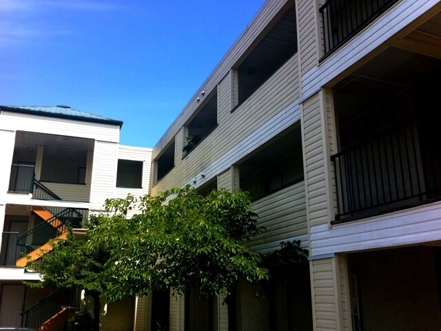 Primary Photo - Trinity Apartments