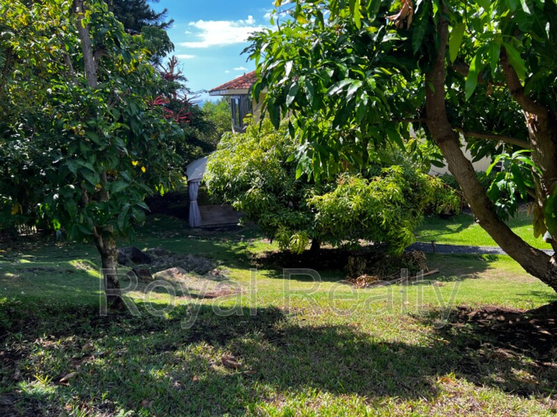 Foto principal - 882 Kupulau Dr