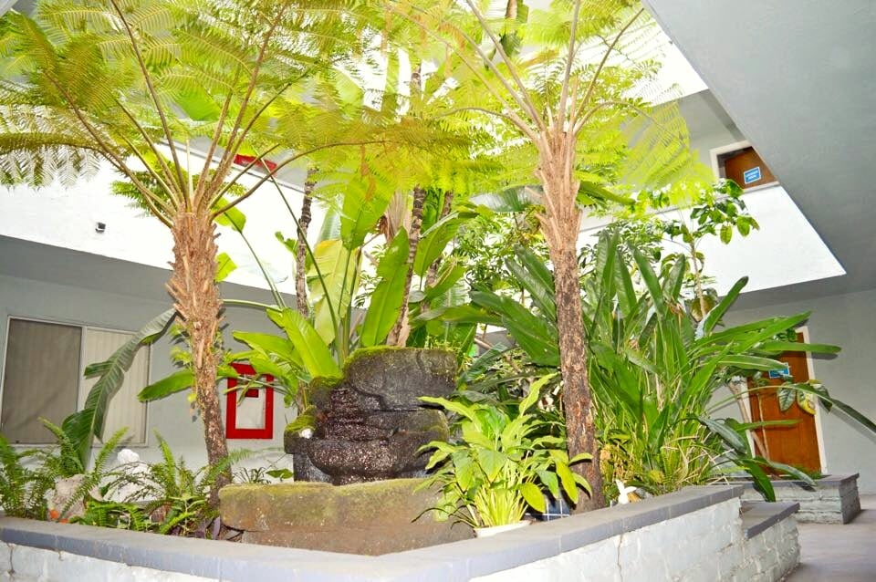 65 Thornton St, San Leandro, CA 94577 Apartments in San Leandro, CA