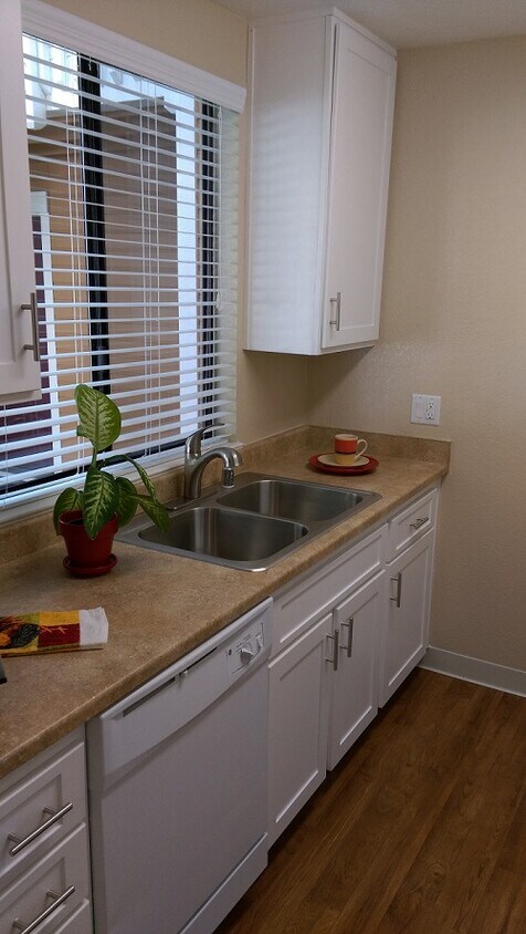 Foto principal - 3943 Southampton Ter