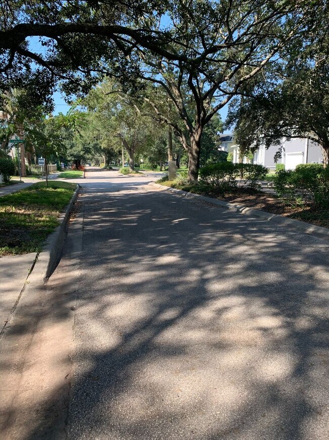 Foto del edificio - South Tampa Parkland Estates Rental