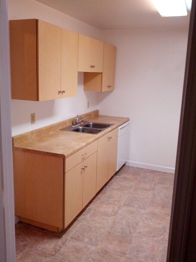Kitchen with dishwasher - 608 Old Jefferson City Rd