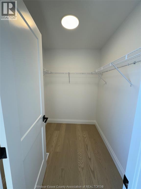 Building Photo - 3388 Tullio Dr