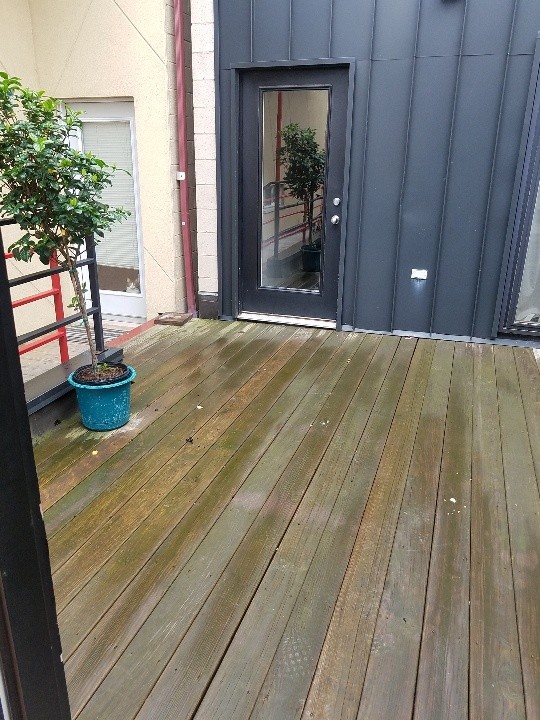 Common Deck Space - 2521 N California Ave