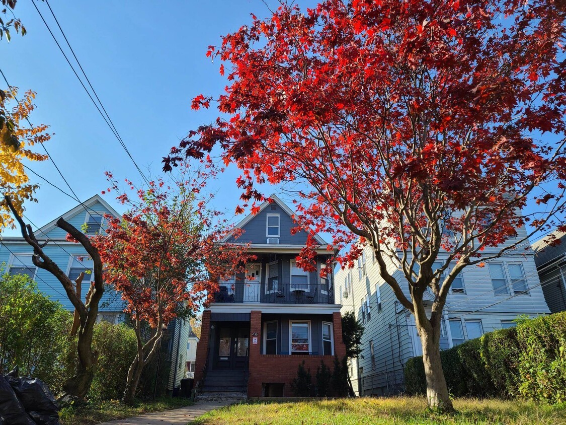 Primary Photo - 203 Duncan Ave
