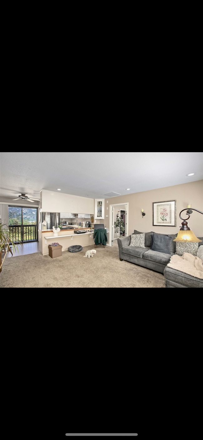 Living room open floor - 1035 Olive Ave