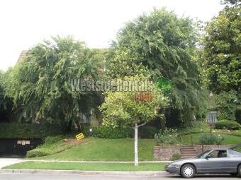 Foto principal - 801 S Plymouth Blvd