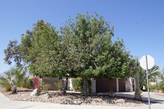 Building Photo - 78785 Sun Brook Ln