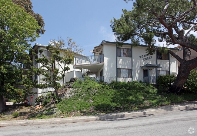 Primary Photo - Kona Krest