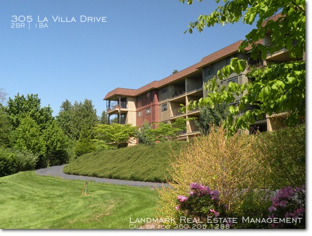Primary Photo - 305 La Villa Dr