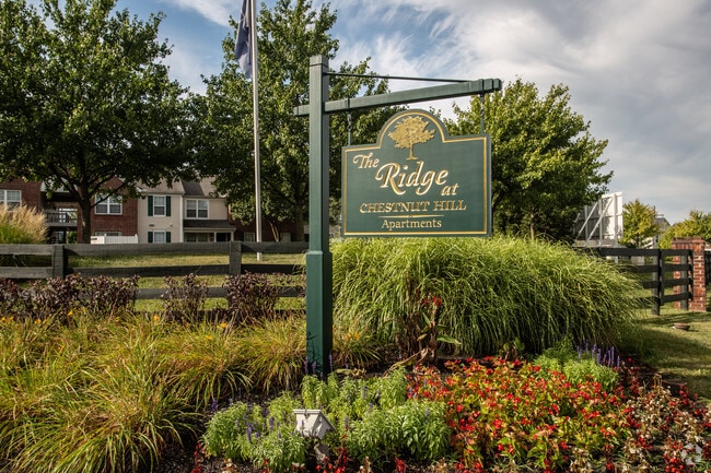 Building Photo - The Ridge at Chestnut Hill