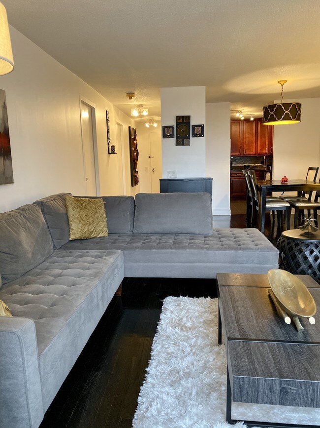 Living room - 899 S Plymouth Ct