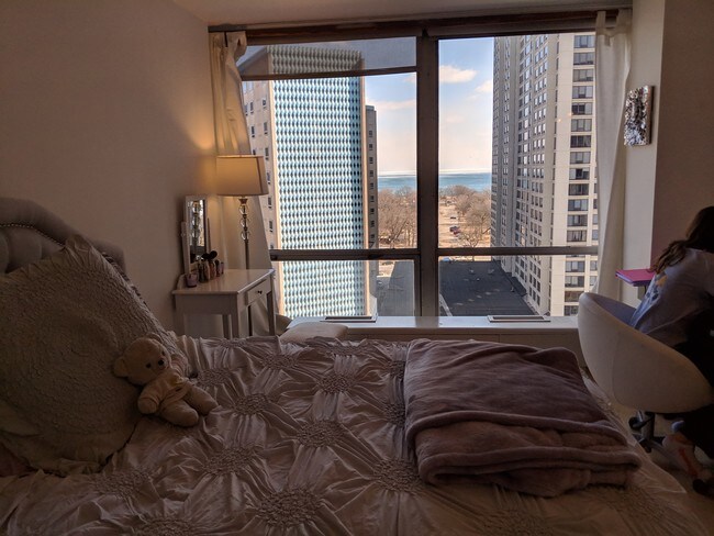 2nd bedroom viewing lake and Lincoln Park - 340 W Diversey Pkwy