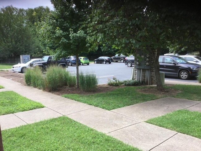 Common Area & Private Parking - 2015B Beech Avenue