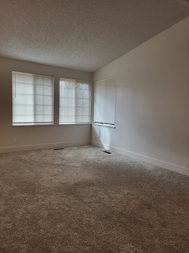 Living Room - 1550 Summerwind Cir