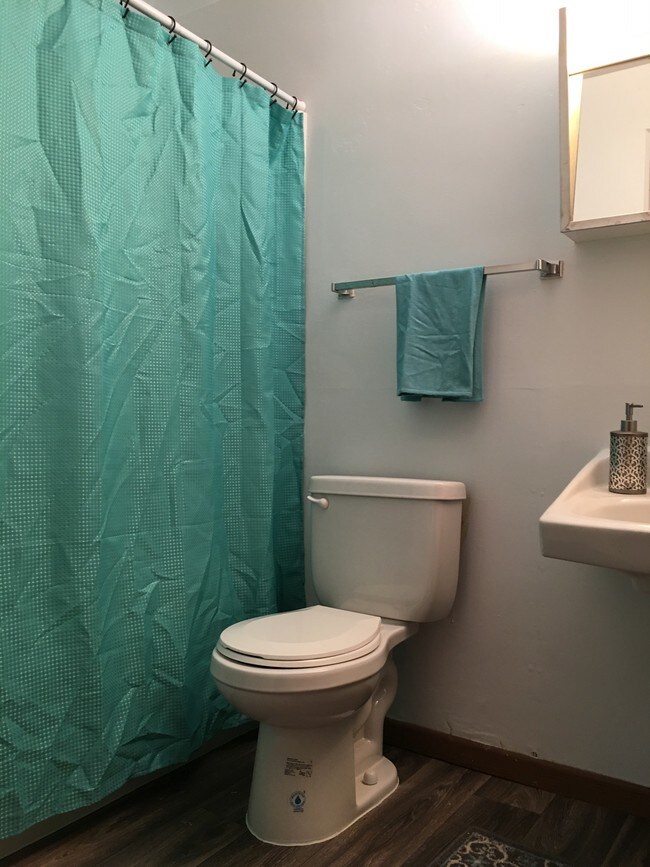 2 Bed, 1 Bath, Pet Friendly, Avail. May 1 - 253 3rd Ave NE
