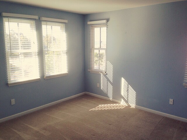 Master bedroom - 1102 Avocet Drive