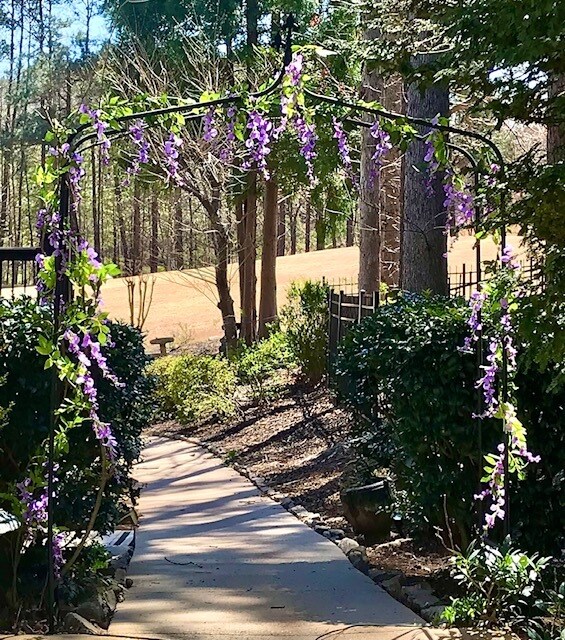 Foto principal - 407 Clubview Dr