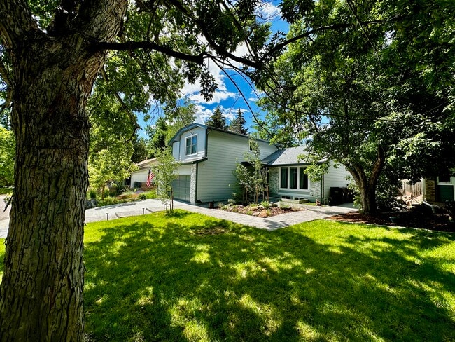 Building Photo - 4156 Culebra Ct