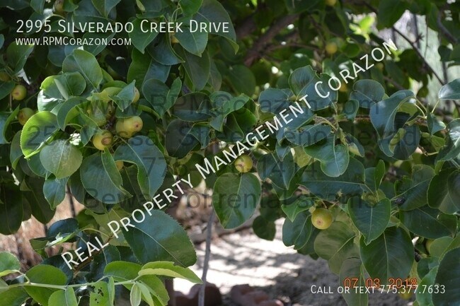 Foto del edificio - 2995 Silverado Creek Dr