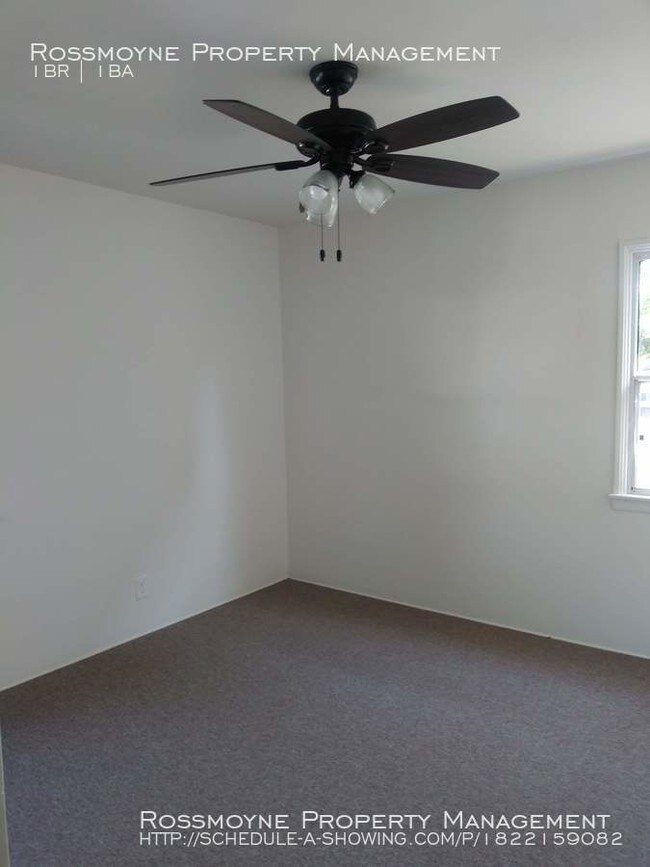 Foto del edificio - Large 1 Bedroom/1 Bathroom lower unit