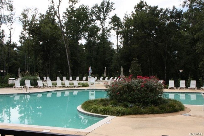 Foto del edificio - 9800 Bluestone Cir