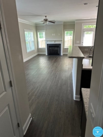 Building Photo - 851 Silver Leaf Dr