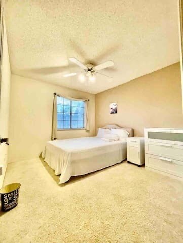 Building Photo - 4005 Rocky Point Dr