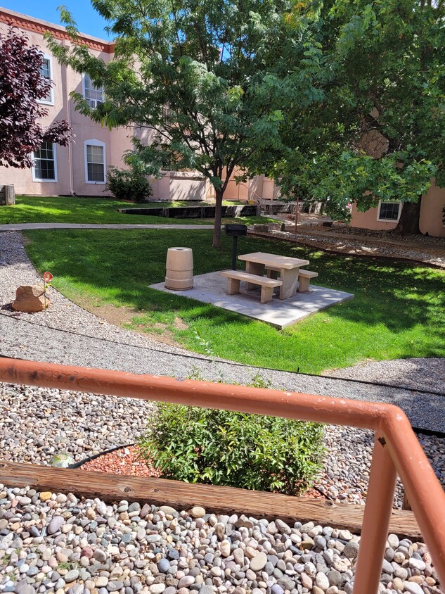 Courtyard with grass and trees looking from patio - 2501 W Zia Rd