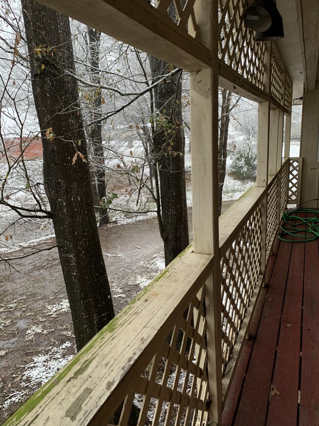 back porch - 513 Jolly Dr