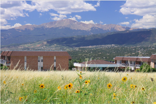 Interior Photo - Mountain Views at The Vue Chapel Hills!