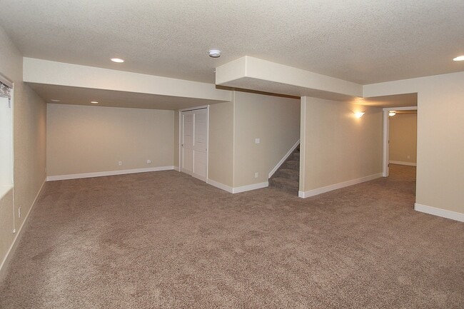 Basement - 7766 Wagonwood Place