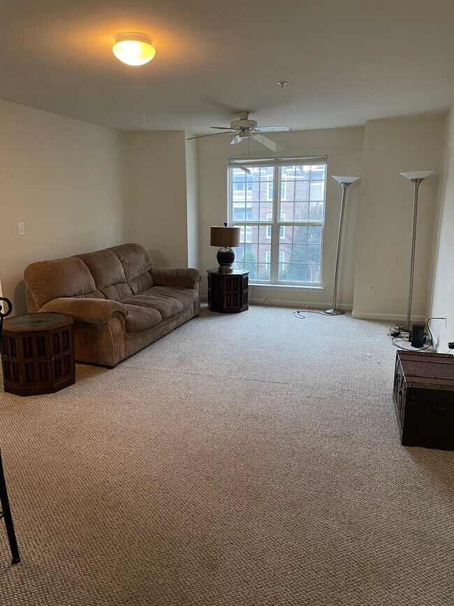 Living Room - 9810 Campus Walk Ln
