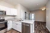 This single-floor unit offers a thoughtfully designed layout with a clean, modern aesthetic carried consistently throughout. The kitchen serves as a functional centerpiece, featuring white shaker-style cabinetry with matte black hardware, granite-look countertops, and a full suite of stainless steel appliances including a refrigerator, electric range, over-the-range microwave, and dishwasher. A peninsula with an undermount double sink adds prep space and creates a natural transition toward the living area. Wood-look plank flooring runs throughout the entire unit, lending warmth and visual continuity. The open living area is bright and airy, benefiting from multiple windows that invite natural light and views of the outdoors. A ceiling fan provides additional comfort. A dedicated in-unit laundry closet is conveniently located off the kitchen and houses a stacked washer and dryer. The bathroom is finished with a white vanity, white countertop, a large mirror, and matching matte black hardware accents, complemented by the same wood-look flooring. Neutral wall tones and white trim throughout create a cohesive, move-in-ready environment that is both practical and inviting.
