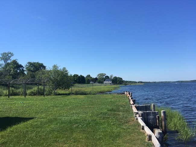 Foto del edificio - 46 Lillis Ave