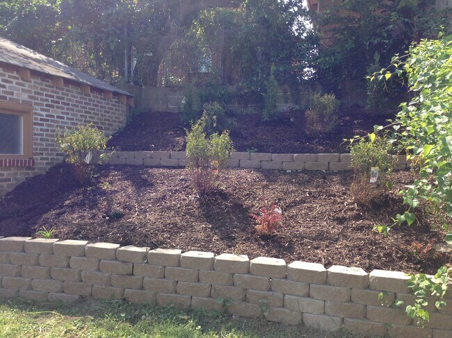 Foto del edificio - 316 Atlas Dr