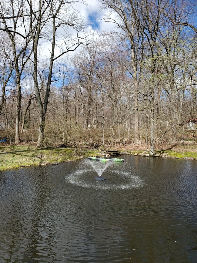 Pond Water Fountain - 21 Westview Ln
