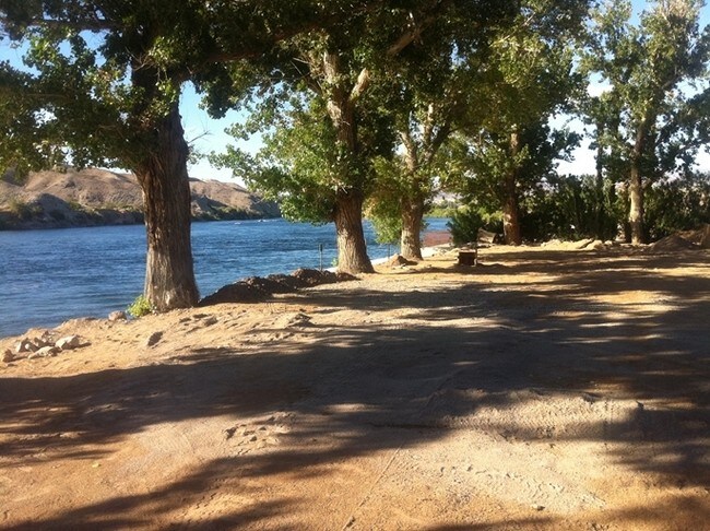 Madura Cottonwoods - Pier 95