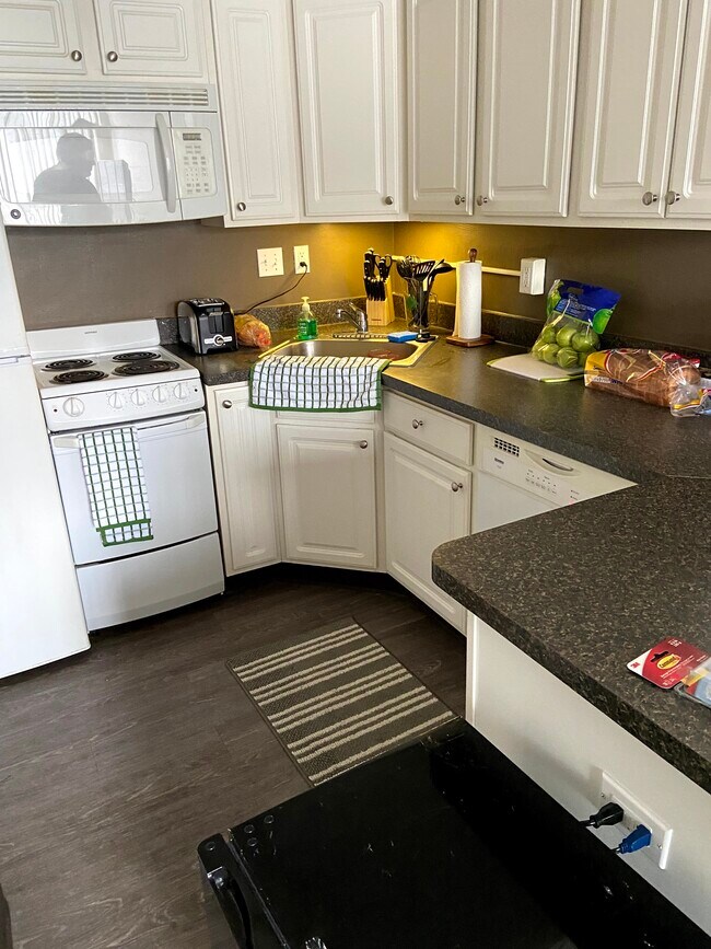 Kitchen with fridge, stove, and dishwasher - 255 Delta St