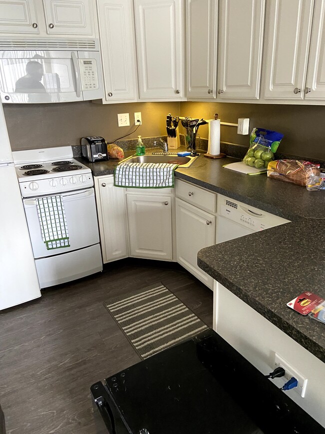 Kitchen with fridge, stove, and dishwasher - 255 Delta St