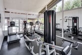 Located at 5600 Orangethorpe Ave in La Palma, California, this single-story fitness center is designed to support a well-rounded workout experience in a bright, open environment. The space features soaring vaulted ceilings with exposed beam detailing, lending an airy, spacious quality to the interior. Large floor-to-ceiling windows and glass panel walls flood the room with abundant natural light and offer views of the surrounding landscaped grounds, including mature trees and a pool area visible from the cardio zone.

The fitness center is equipped with a variety of Life Fitness and Star Trac cardio machines, including treadmills, an elliptical trainer, and a stationary bike, all positioned to take advantage of the outdoor views. A multi-station cable strength machine and a dedicated free weight bench provide comprehensive strength training options. Rubber flooring throughout the exercise area ensures safety and comfort during workouts.

Full-length mirrors along one wall enhance the sense of space while allowing users to monitor their form. French doors provide additional access and ventilation. Posted exercise room rules and informational signage reflect an organized and well-maintained facility. The overall ambiance is light, clean, and functional, making this fitness center a practical and inviting amenity.