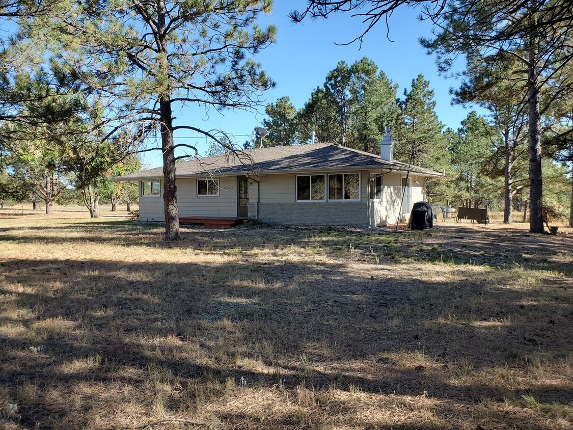 Primary Photo - Stunning 4/3/2 Home in Black Forest!!!!