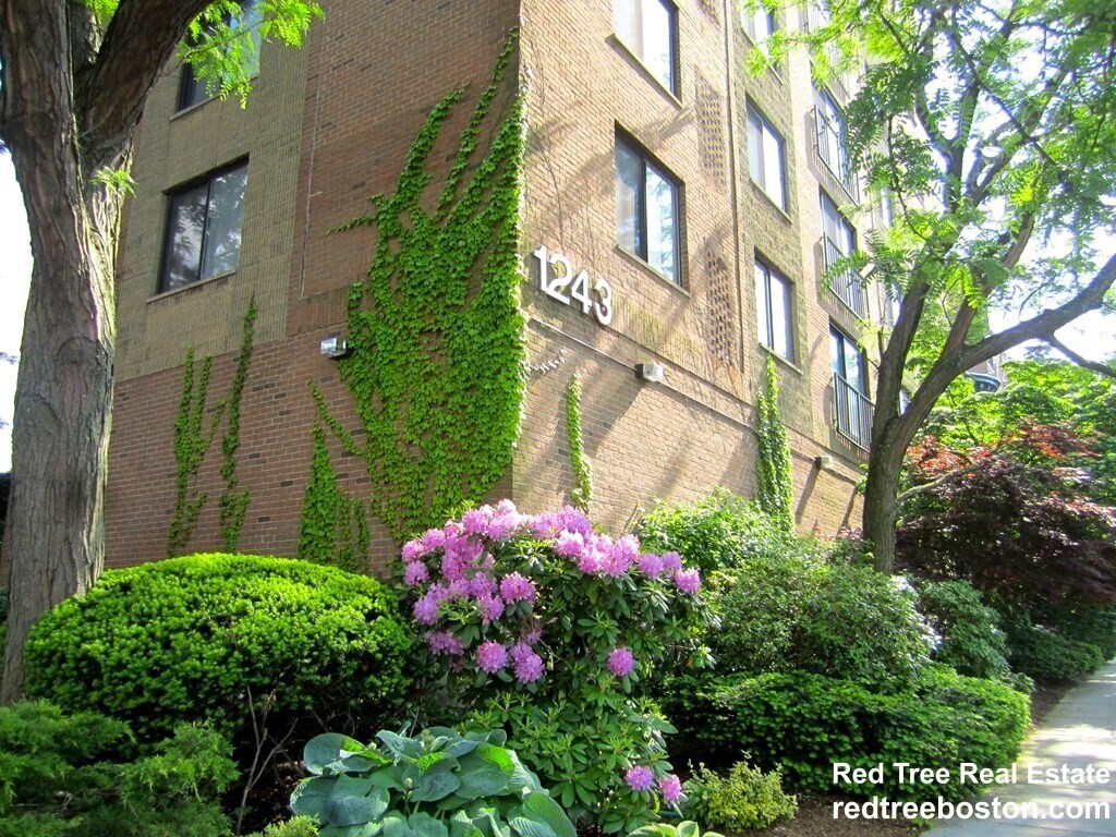 Foto principal - 1243 Beacon St
