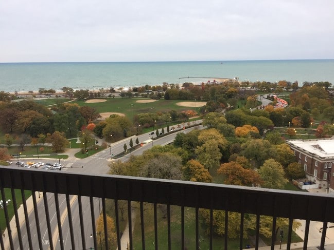 View from Balcony Fall 2018 - 1660 N LaSalle Dr