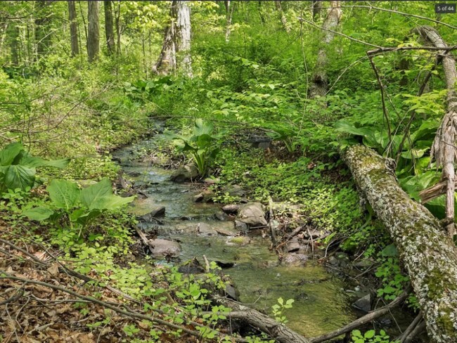 Foto del edificio - 26 Woodland Cir